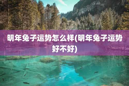 明年兔子运势怎么样(明年兔子运势好不好)