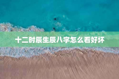 十二时辰生辰八字怎么看好坏