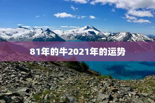 81年的牛2021年的运势