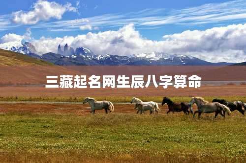 三藏起名网生辰八字算命