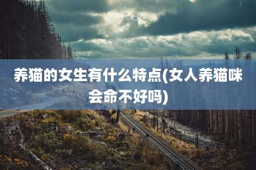 养猫的女生有什么特点(女人养猫咪会命不好吗)