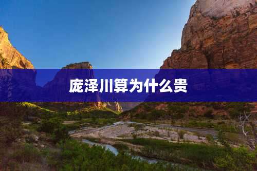 庞泽川算为什么贵