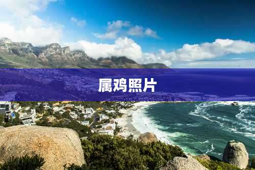 属鸡照片