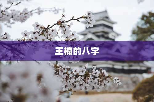 王楠的八字