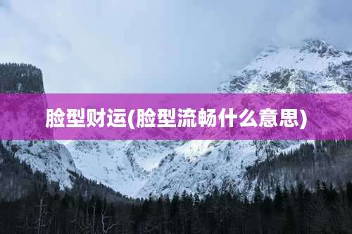 脸型财运(脸型流畅什么意思)