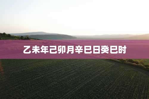 乙未年己卯月辛巳日癸巳时