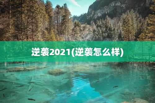 逆袭2021(逆袭怎么样)