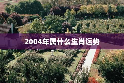 2004年属什么生肖运势