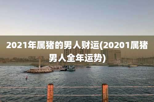 2021年属猪的男人财运(20201属猪男人全年运势)
