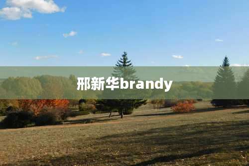 邢新华brandy