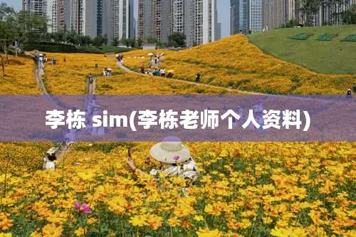 李栋 sim(李栋老师个人资料)