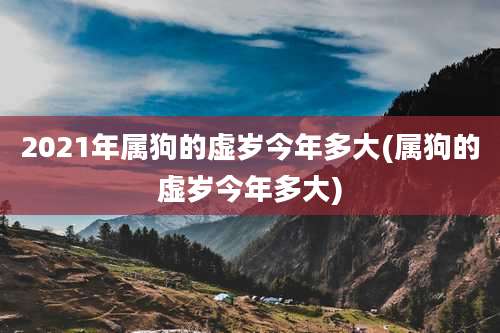 2021年属狗的虚岁今年多大(属狗的虚岁今年多大)