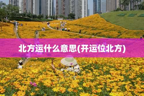 北方运什么意思(开运位北方)
