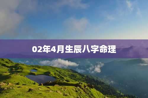 02年4月生辰八字命理