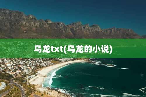 乌龙txt(乌龙的小说)