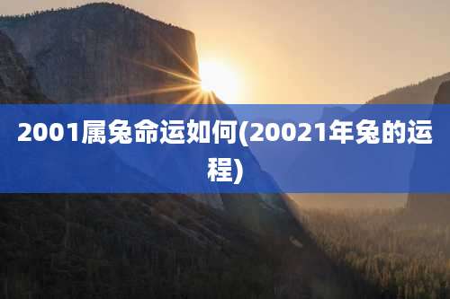 2001属兔命运如何(20021年兔的运程)