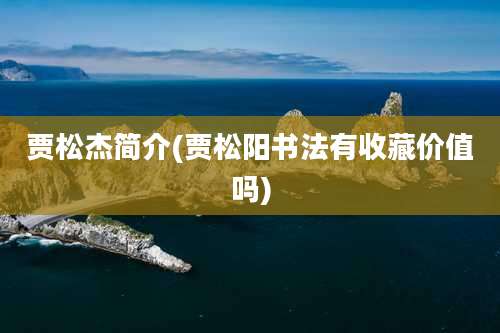 贾松杰简介(贾松阳书法有收藏价值吗)