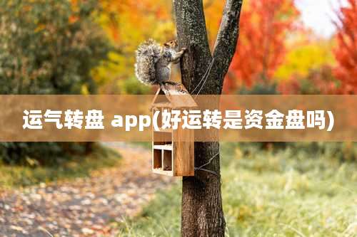 运气转盘 app(好运转是资金盘吗)