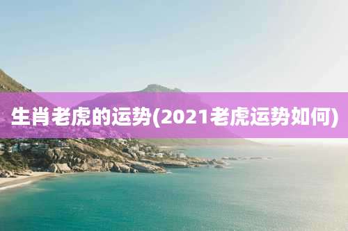 生肖老虎的运势(2021老虎运势如何)