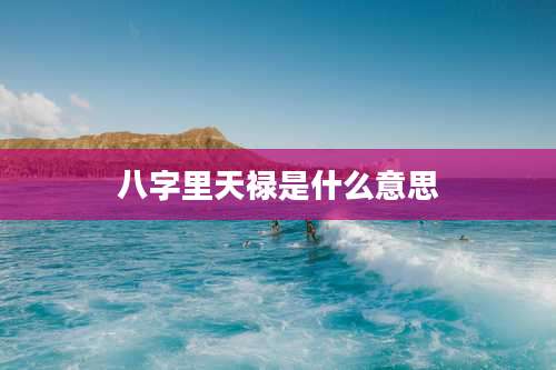 八字里天禄是什么意思