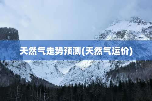 天然气走势预测(天然气运价)