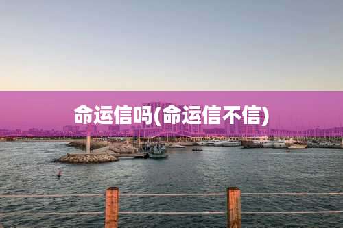命运信吗(命运信不信)