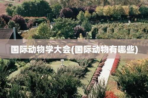 国际动物学大会(国际动物有哪些)