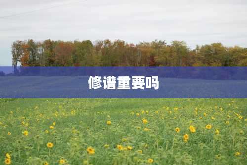 修谱重要吗