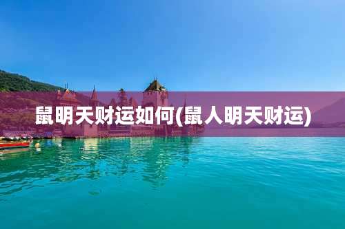 鼠明天财运如何(鼠人明天财运)