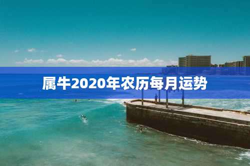 属牛2020年农历每月运势