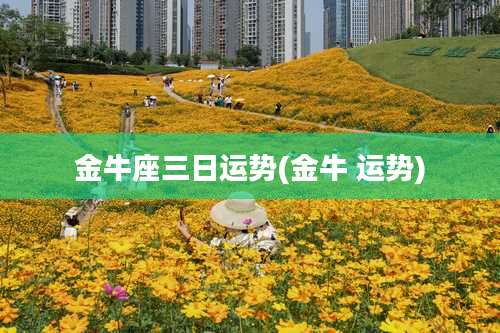 金牛座三日运势(金牛 运势)