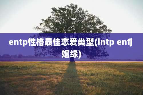 entp性格最佳恋爱类型(intp enfj 姻缘)