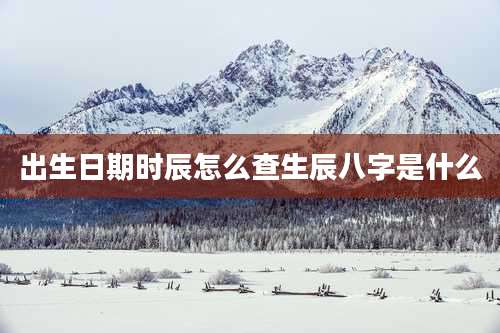 出生日期时辰怎么查生辰八字是什么