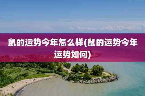 鼠的运势今年怎么样(鼠的运势今年运势如何)