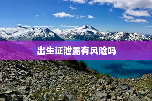 出生证泄露有风险吗