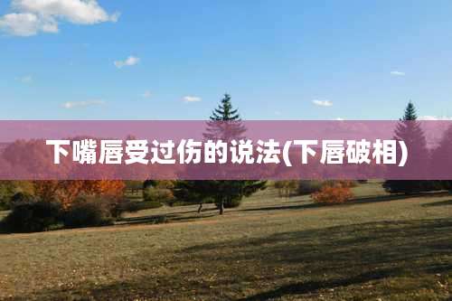 下嘴唇受过伤的说法(下唇破相)