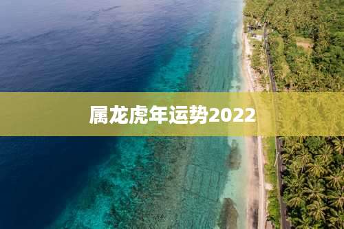 属龙虎年运势2022