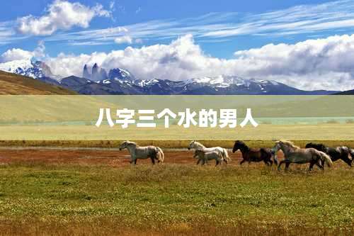 八字三个水的男人