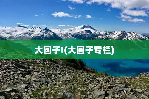 大圆子!(大圆子专栏)