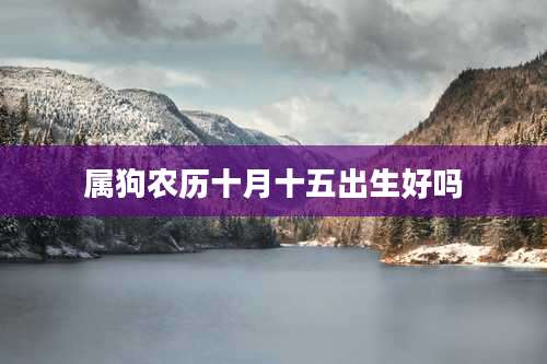 属狗农历十月十五出生好吗