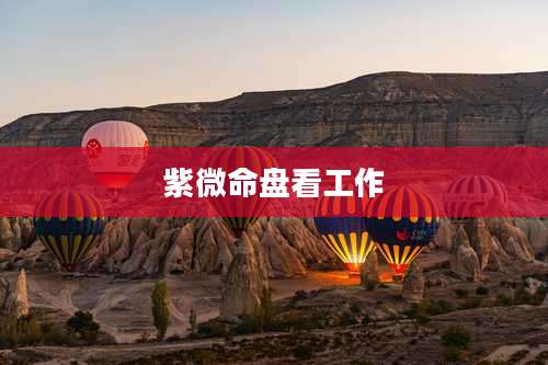 紫微命盘看工作