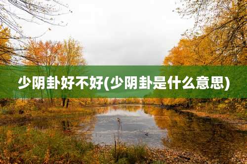 少阴卦好不好(少阴卦是什么意思)