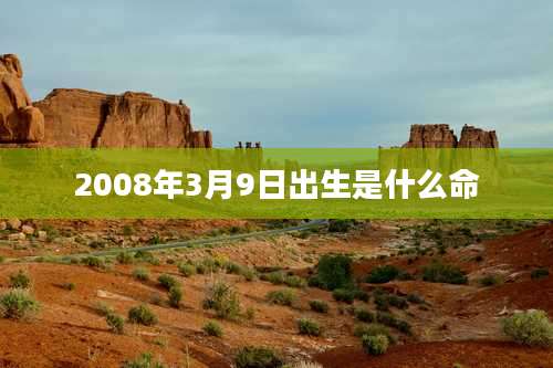2008年3月9日出生是什么命