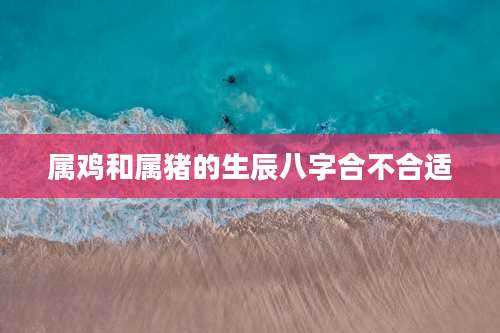 属鸡和属猪的生辰八字合不合适