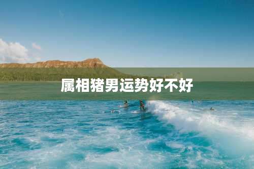 属相猪男运势好不好