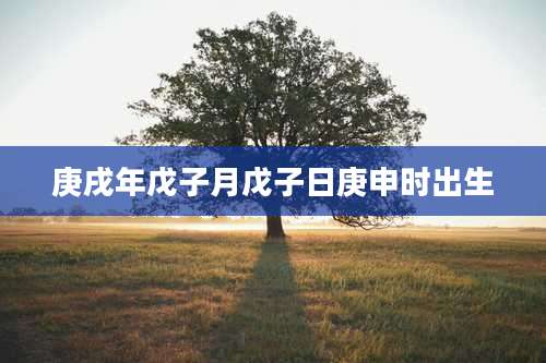 庚戌年戊子月戊子日庚申时出生