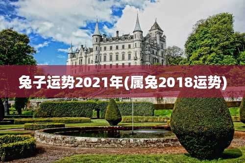兔子运势2021年(属兔2018运势)