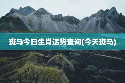 斑马今日生肖运势查询(今天斑马)