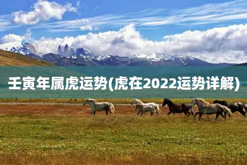 壬寅年属虎运势(虎在2022运势详解)