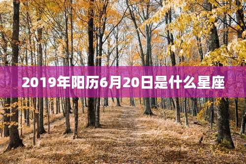 2019年阳历6月20日是什么星座
